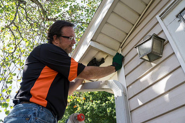 Best Shed Removal  in Cowarts, AL